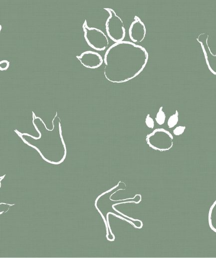 FOOTPRINTS GREEN