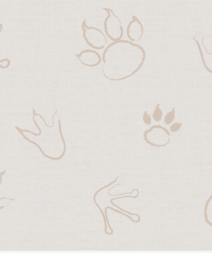 FOOTPRINTS BEIGE REVERSE