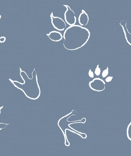 FOOTPRINTS BLUE