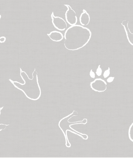 FOOTPRINTS GREY