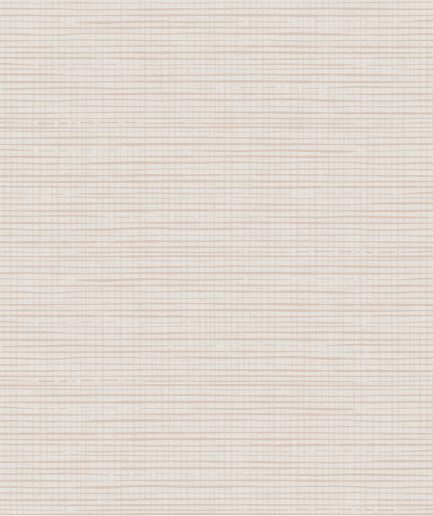 ABSTRACT BEIGE REVERSE